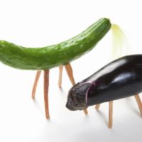 納骨堂・・・墓じまいしたあとの供養